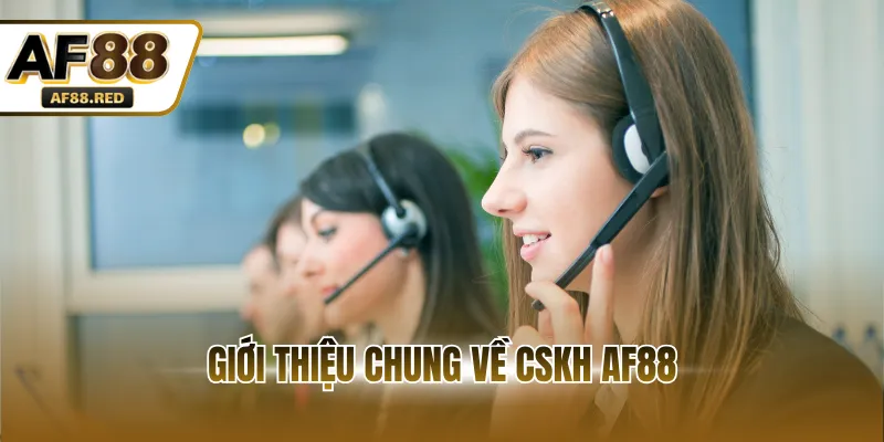 Giới thiệu chung về CSKH AF88